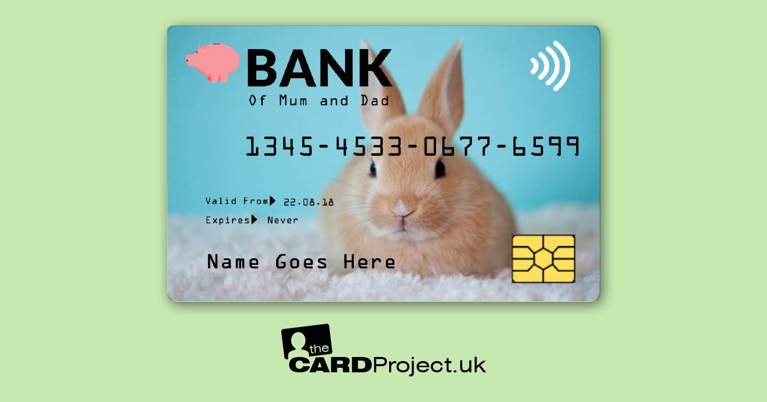 Kids Bunny Toy Credit Card